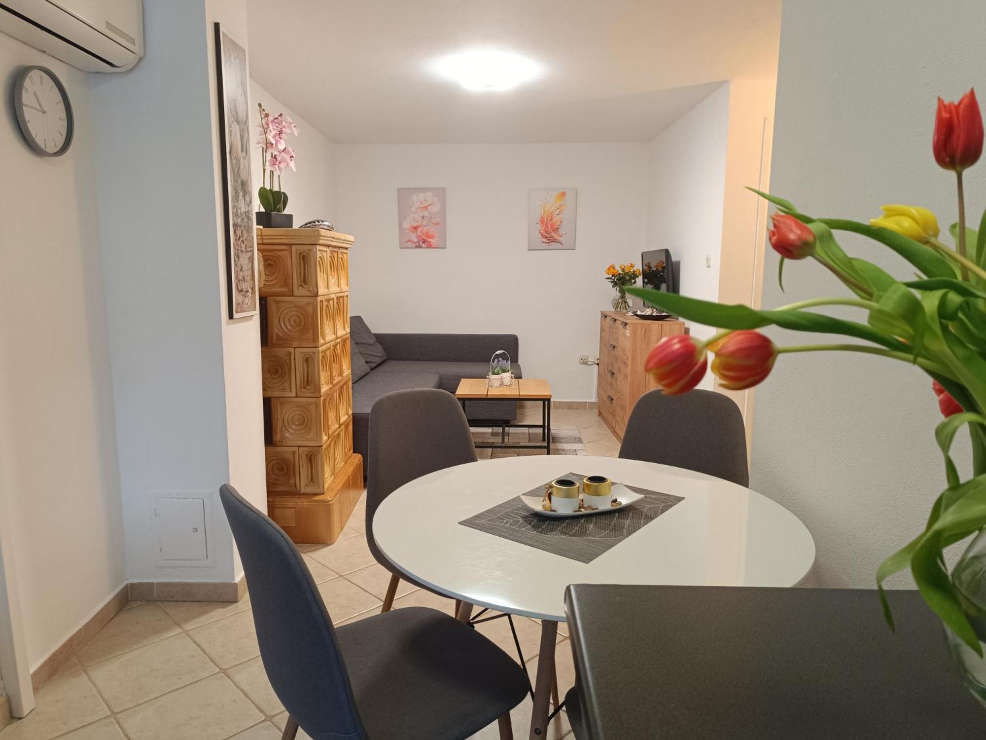 Adria Pearl Appartments Vrsar Buitenkant foto