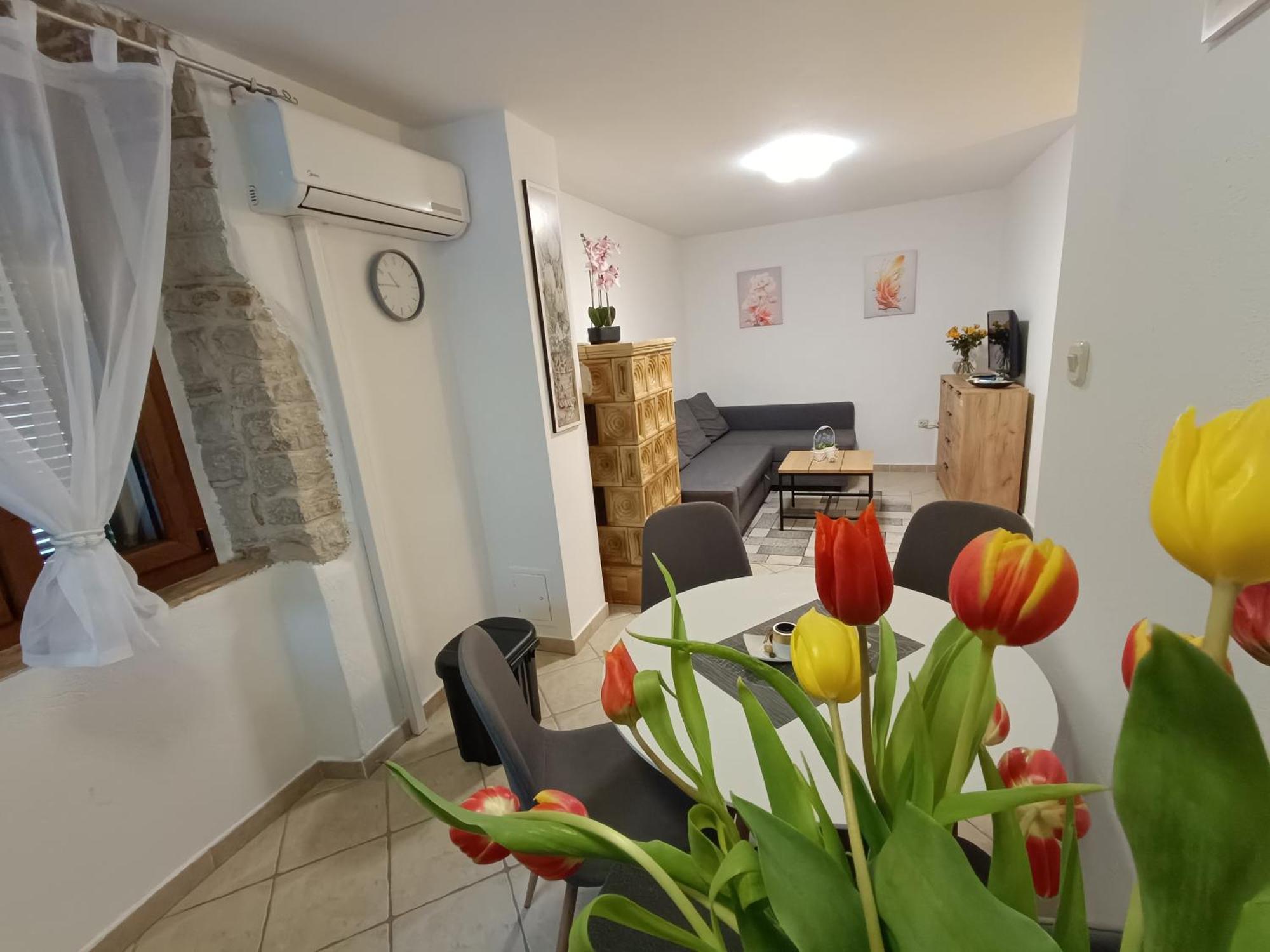 Adria Pearl Appartments Vrsar Buitenkant foto